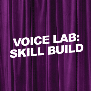 Class-Images-Spring27_VoiceLab-SkillBuild