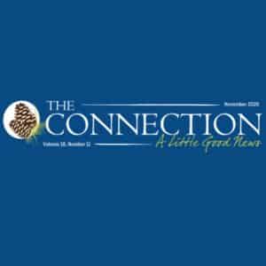 banner of newsletter