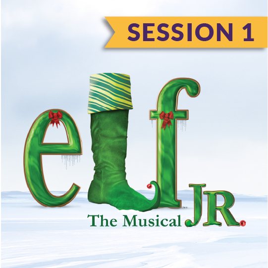 ElfJr-SessionFlags-01