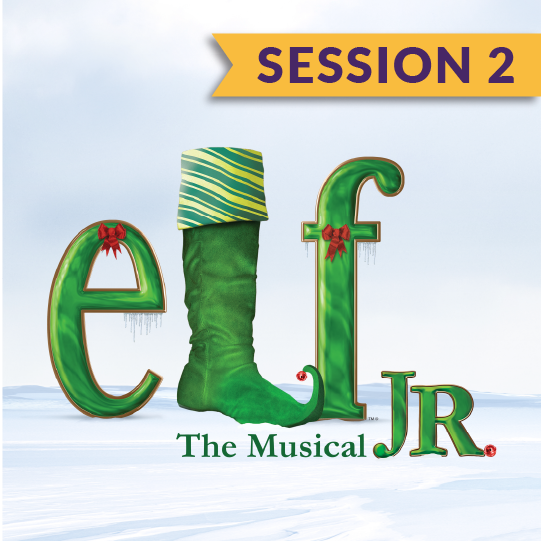 ElfJr-SessionFlags-02